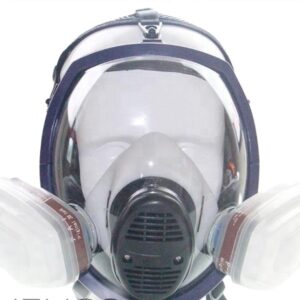 Spherical Visor